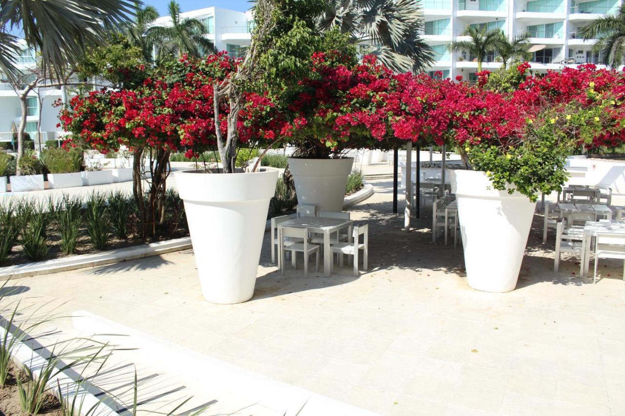 Estudio 573 Nuevo Vallarta, Frente Al Mar, Equipado Y Amueblado ! エクステリア 写真